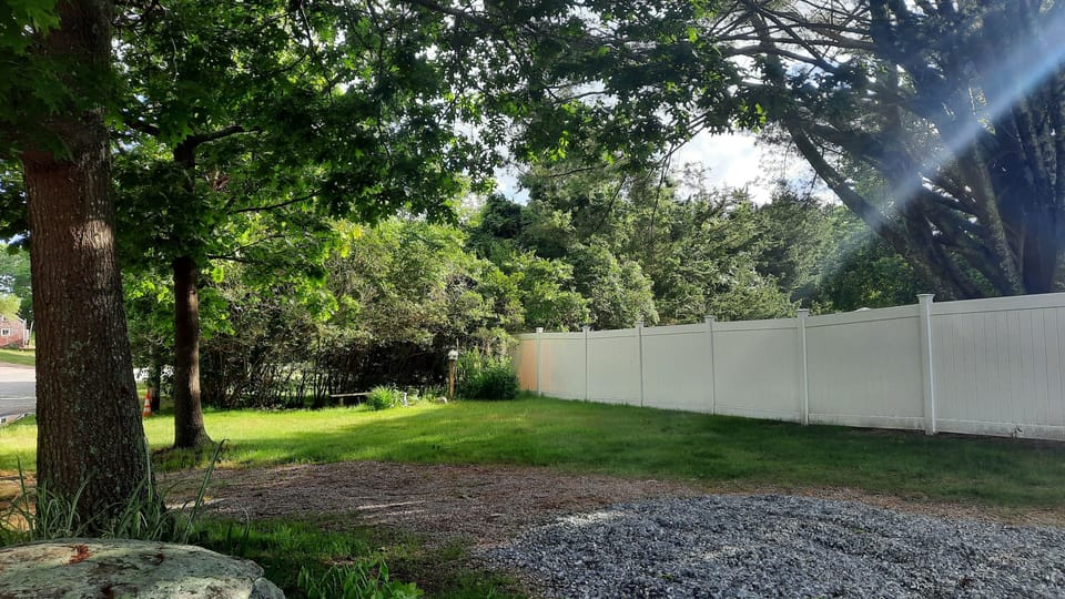 front side yard