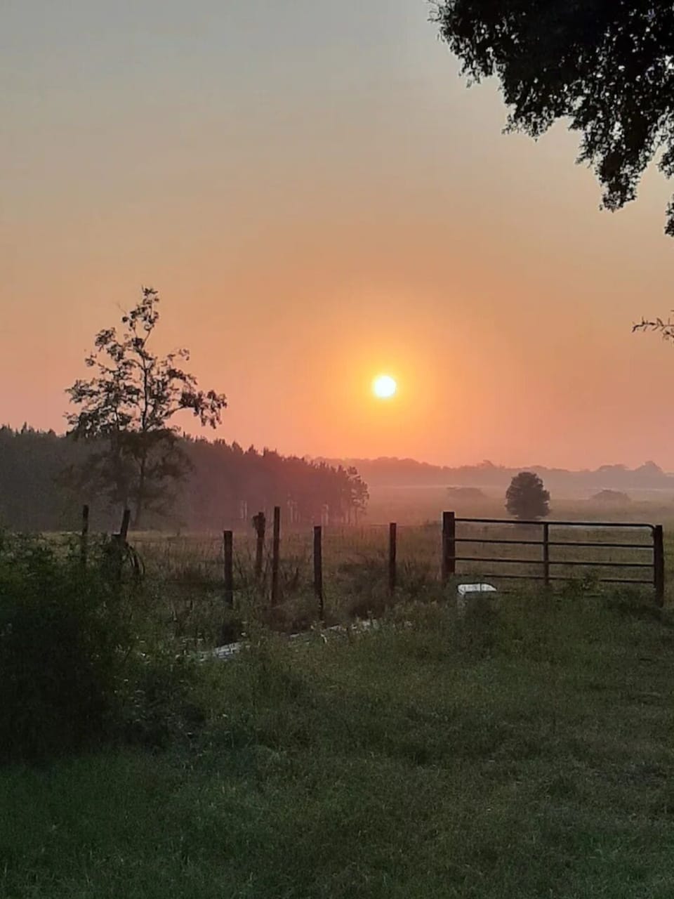 Beautiful Sunrise  at the farm
