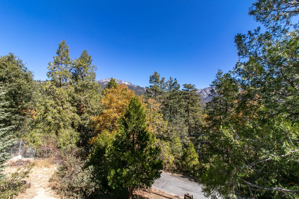 View of the neighborhood street from the deck.