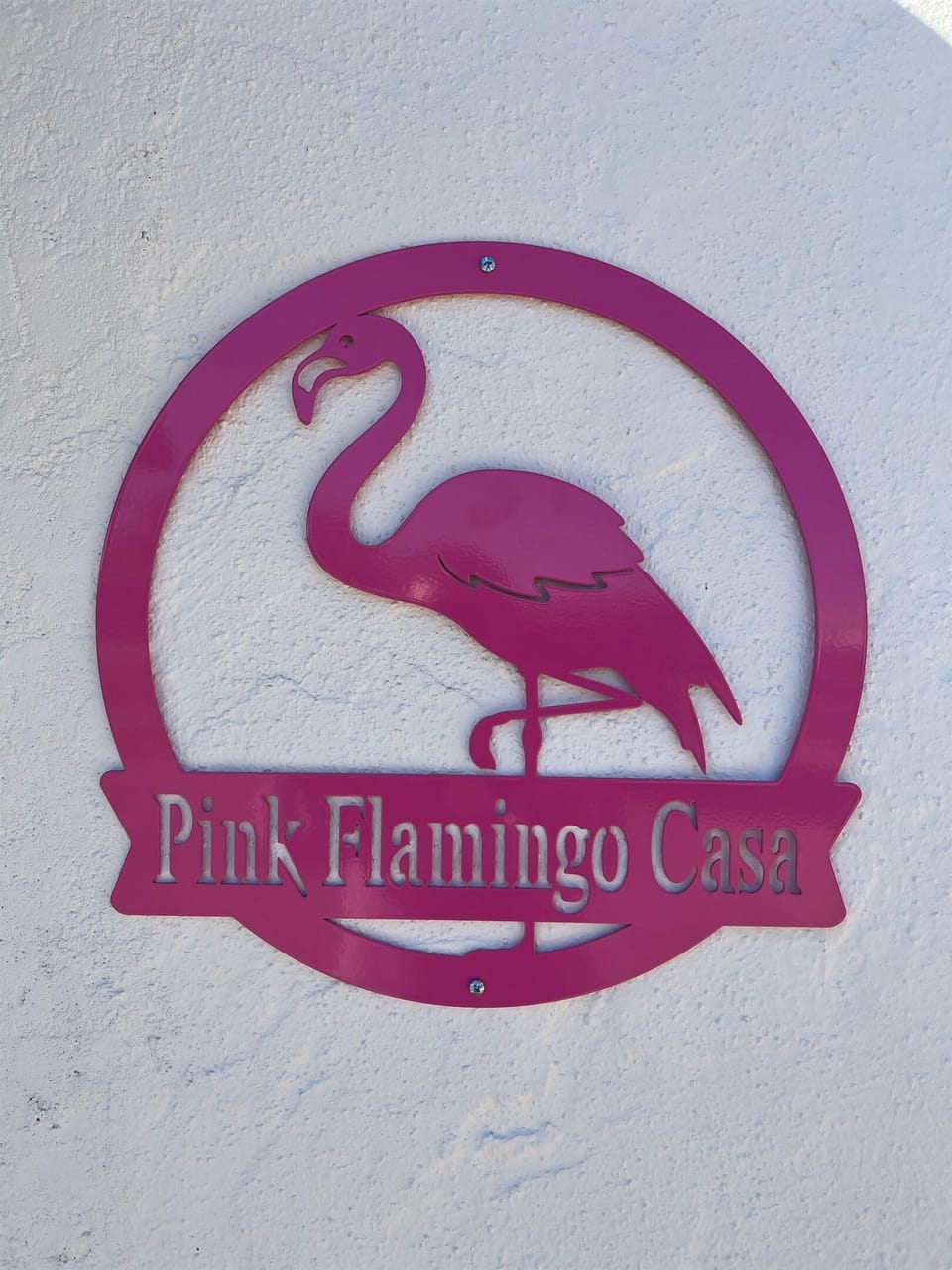 Pink Flamingo