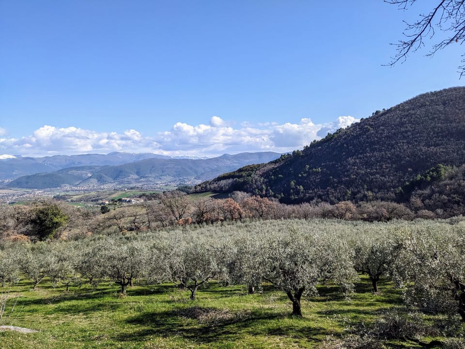 This is olive oil country. Take a stroll through the olive orchard for solitude.