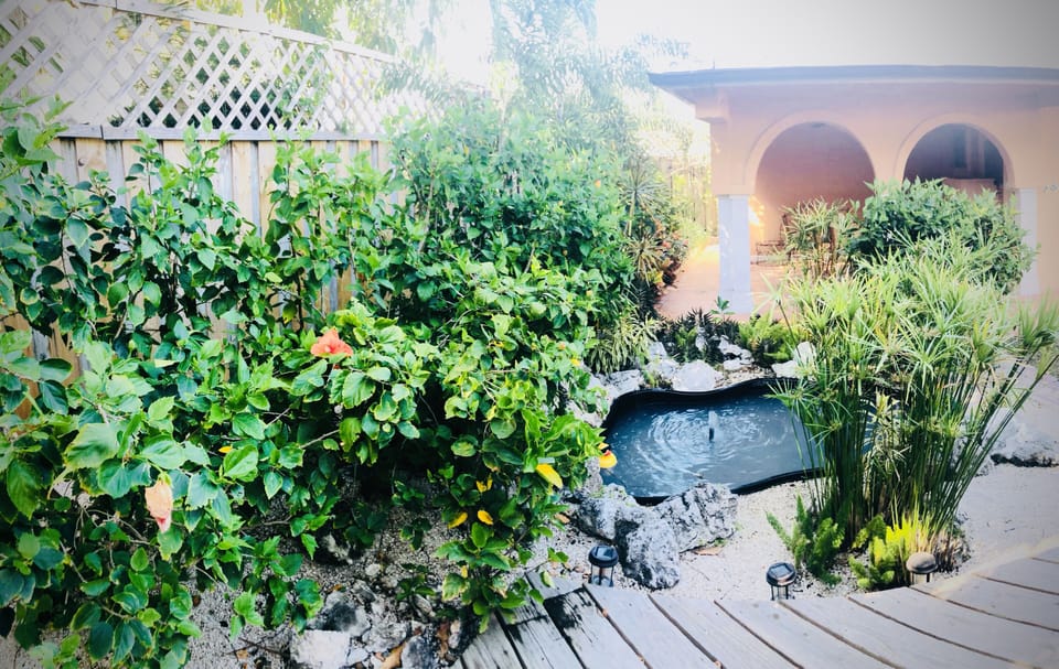 listen to the sounds of the water feature