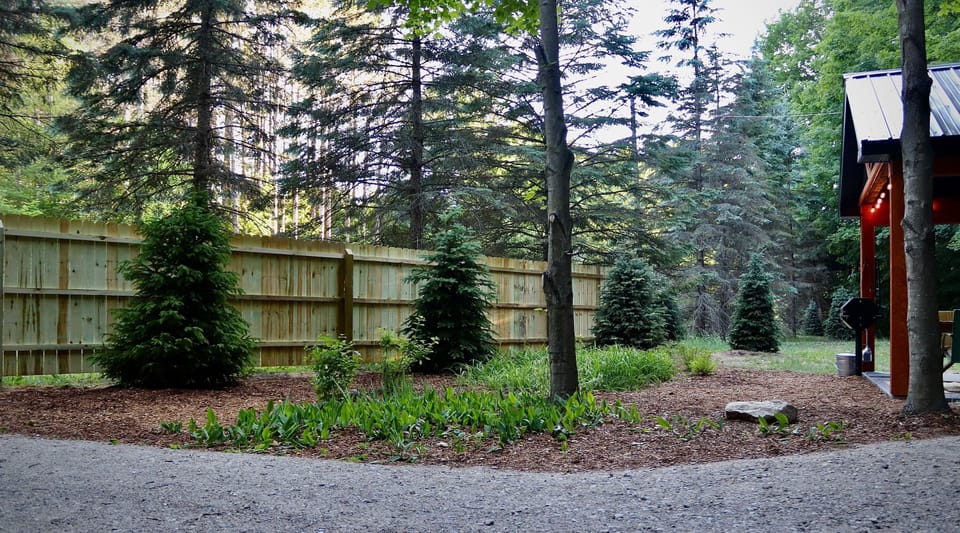 Lush, private, garden area with beautiful butterfly bushes.