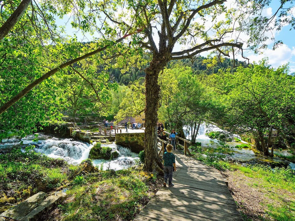 Water Resources, Water, Body Of Water, Nature, Leaf, Tree, Natural Environment, Green, Vegetation