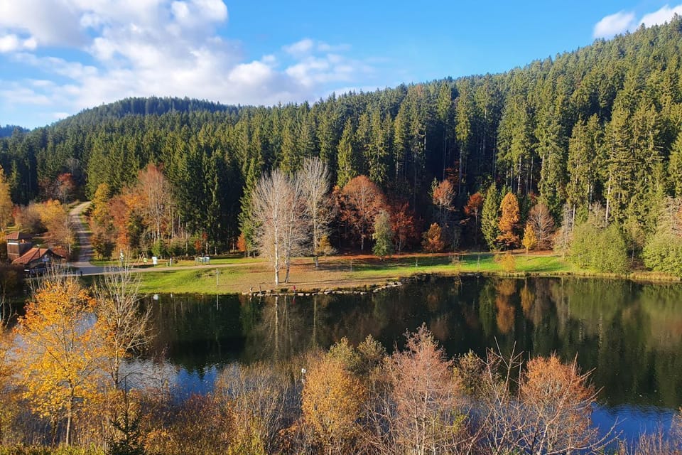 Herbst am See mit Wandern Pilze sammeln Tretgocard