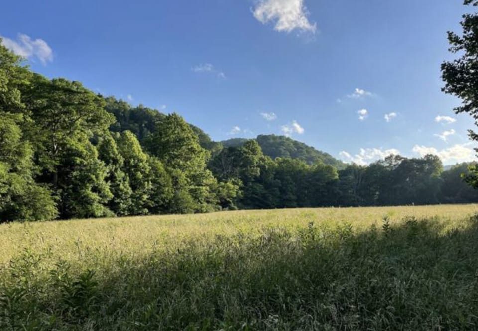 The 12 acre hayfield in front of house