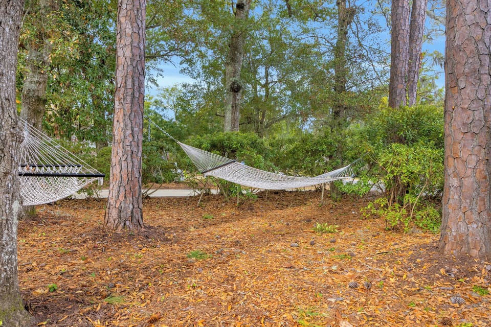 Hammocks in Front Yard