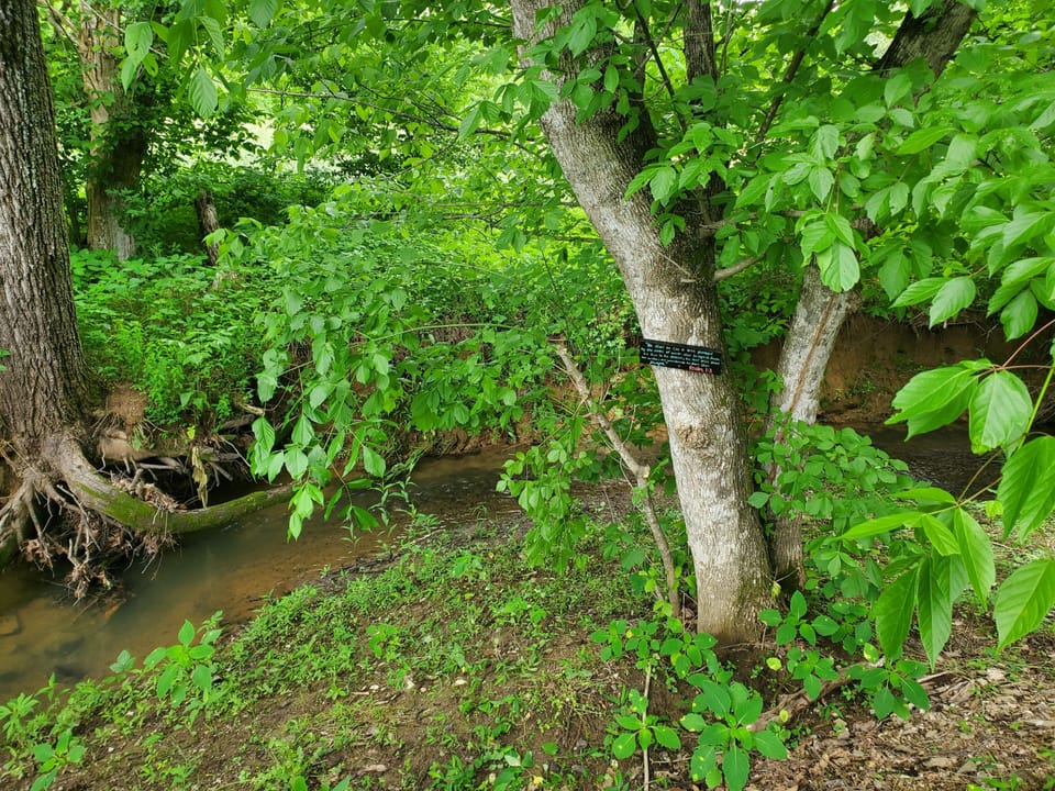 Creek along the property