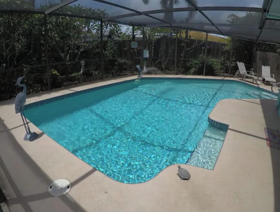 spacious pool