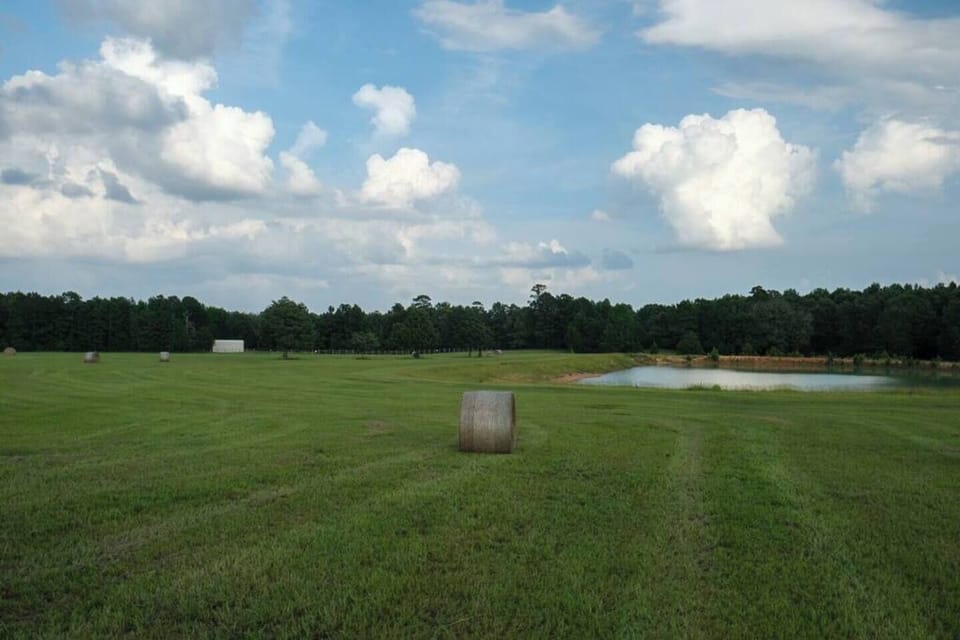 Pasture