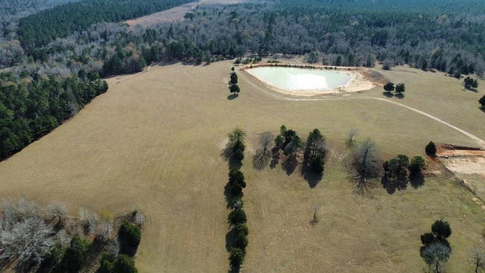 Large Back Pastures