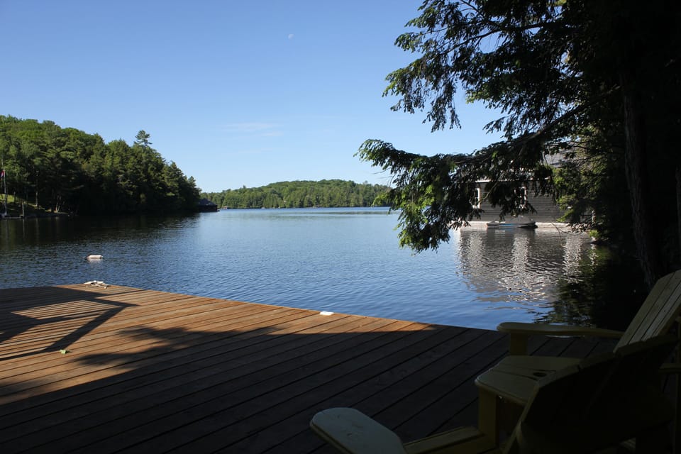 Lake view
