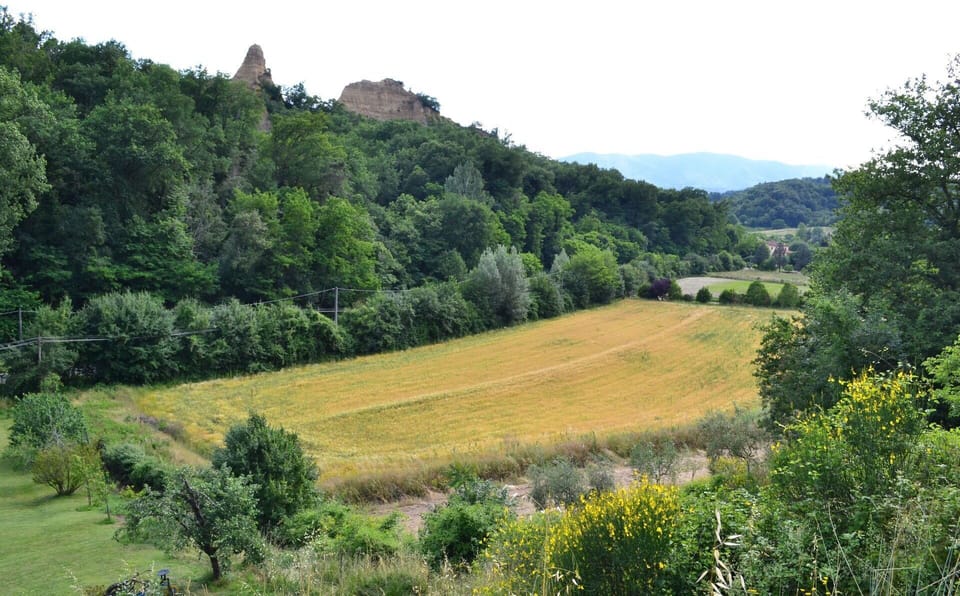 Natural Landscape, Nature, Hill, Vegetation, Natural Environment, Nature Reserve, Mountainous Landforms, Grassland, Meadow, Rural Area