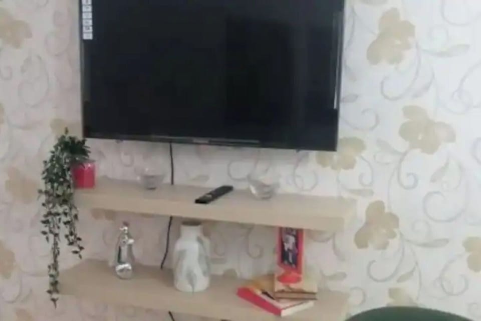 Television