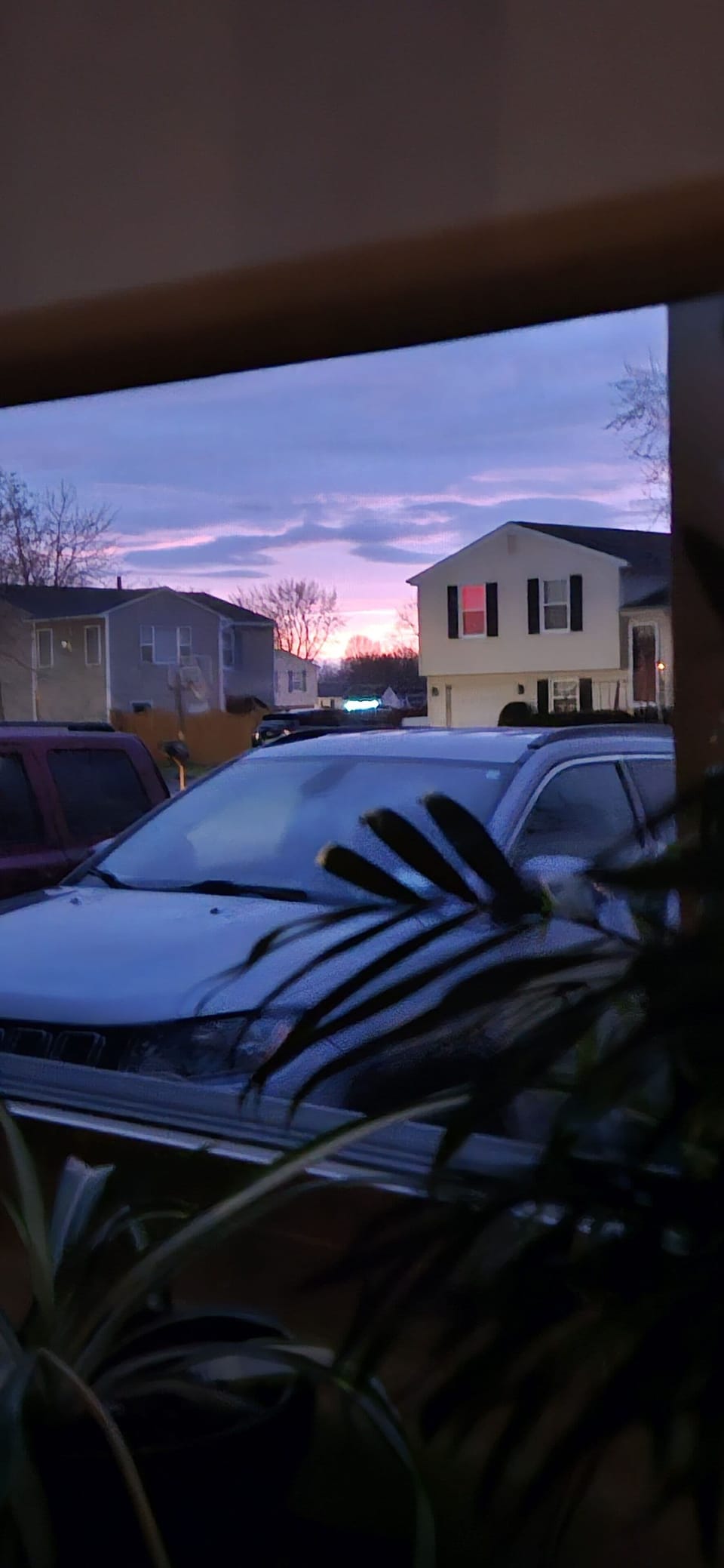View from property