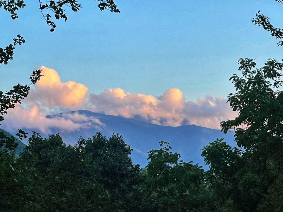 The Porch~ Where Wasting Time is Considered Time Well Wasted