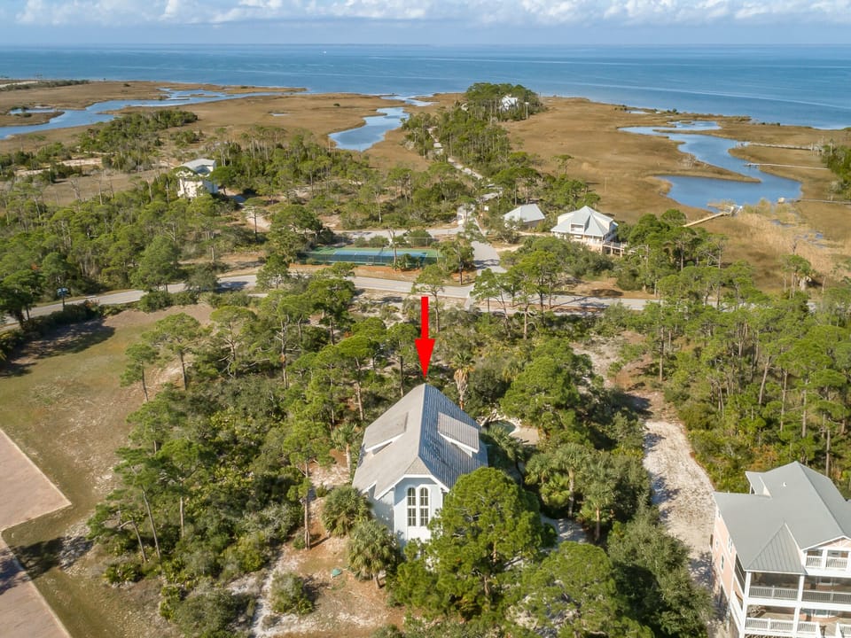 Aerial view