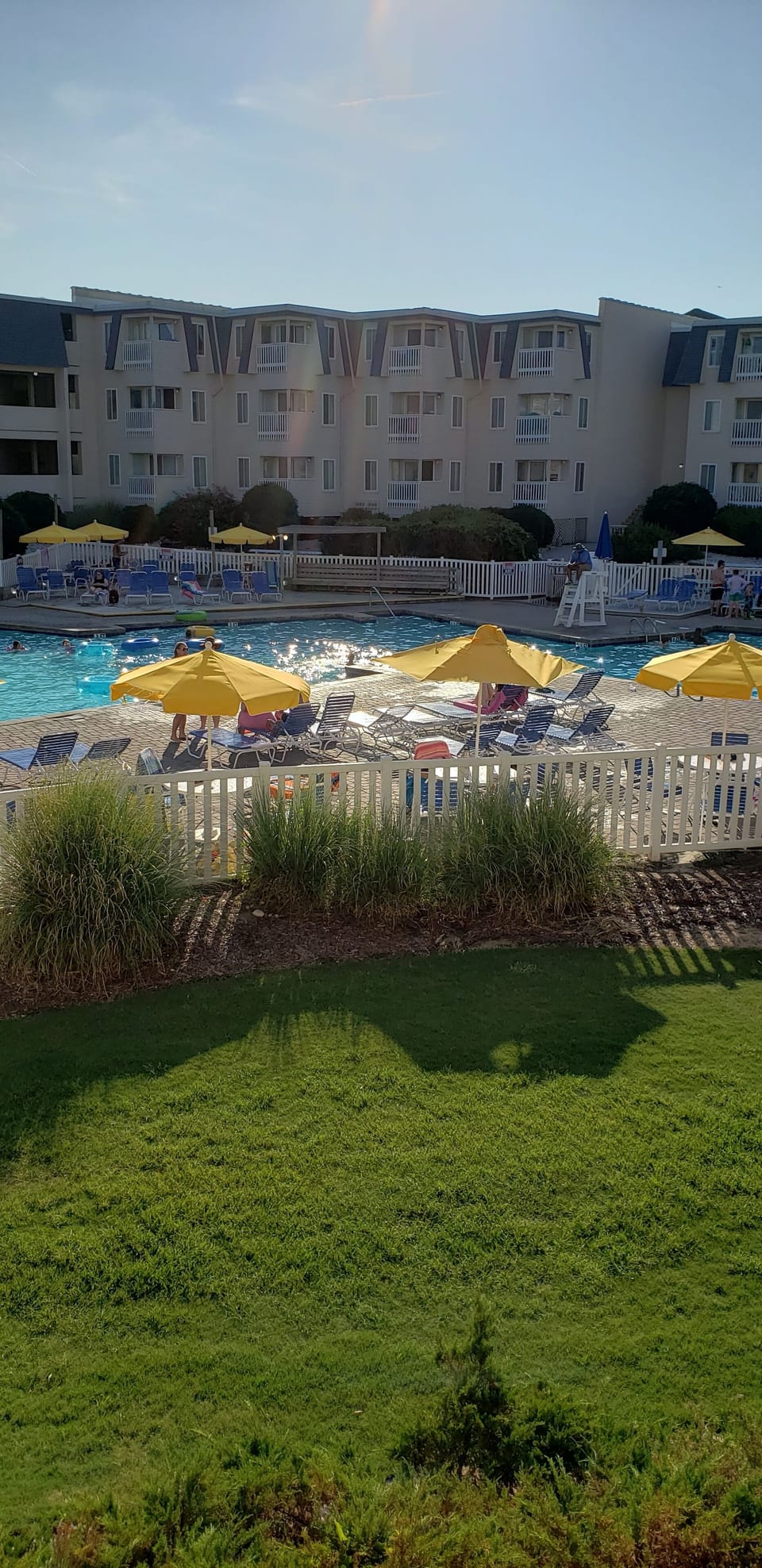 pool view