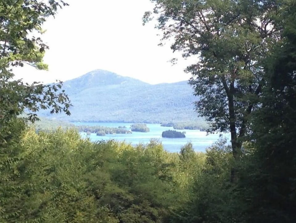 Another View into the Narrows