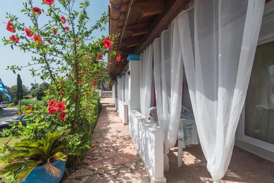 Patio / Balcony