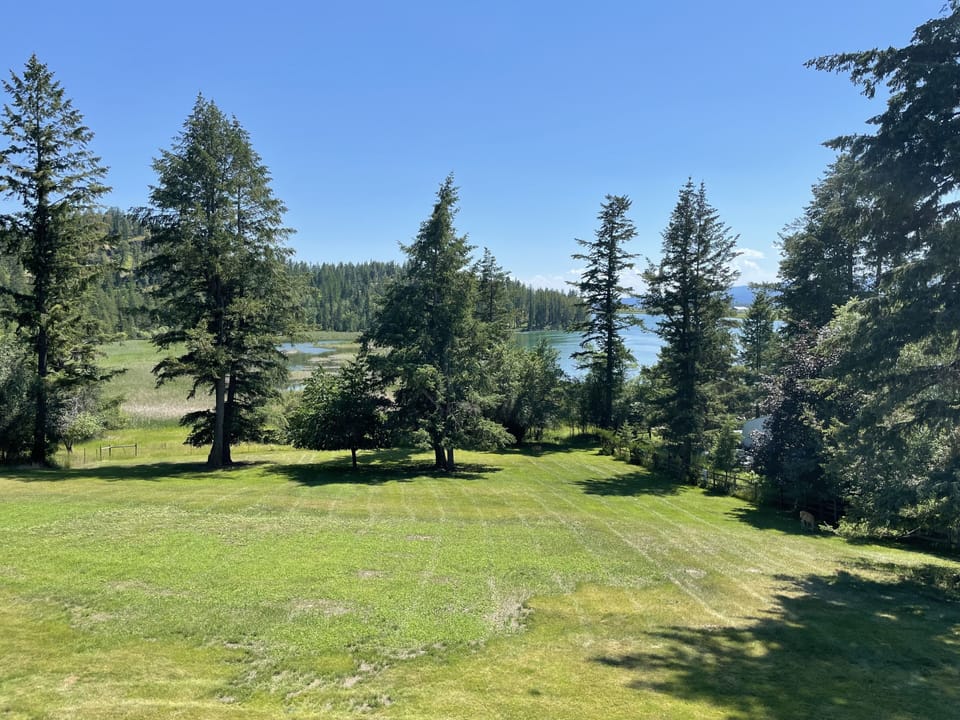 View from the porch overlooking the Flathead River