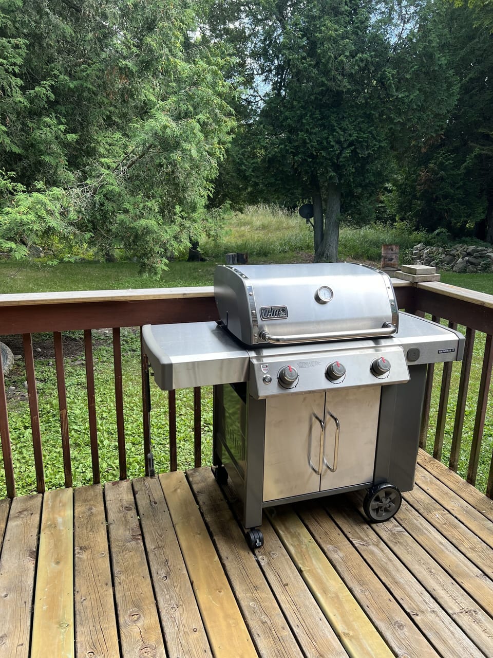 Patio grill