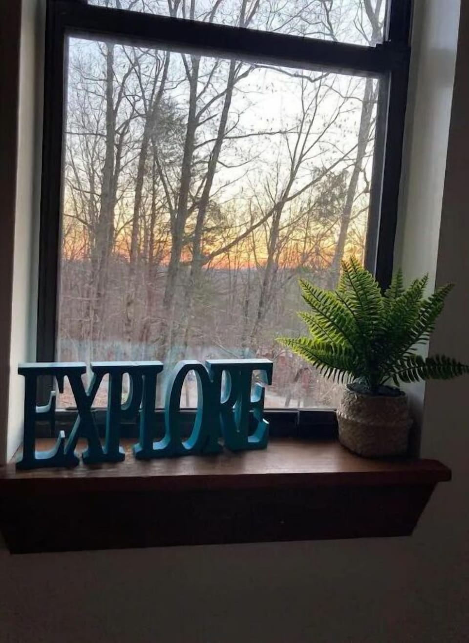Winter View Out Living Room Window