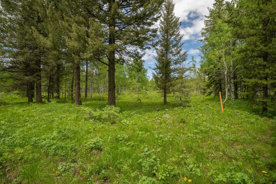 3e535678-62c7-4d50-a63c-53705f3d876b