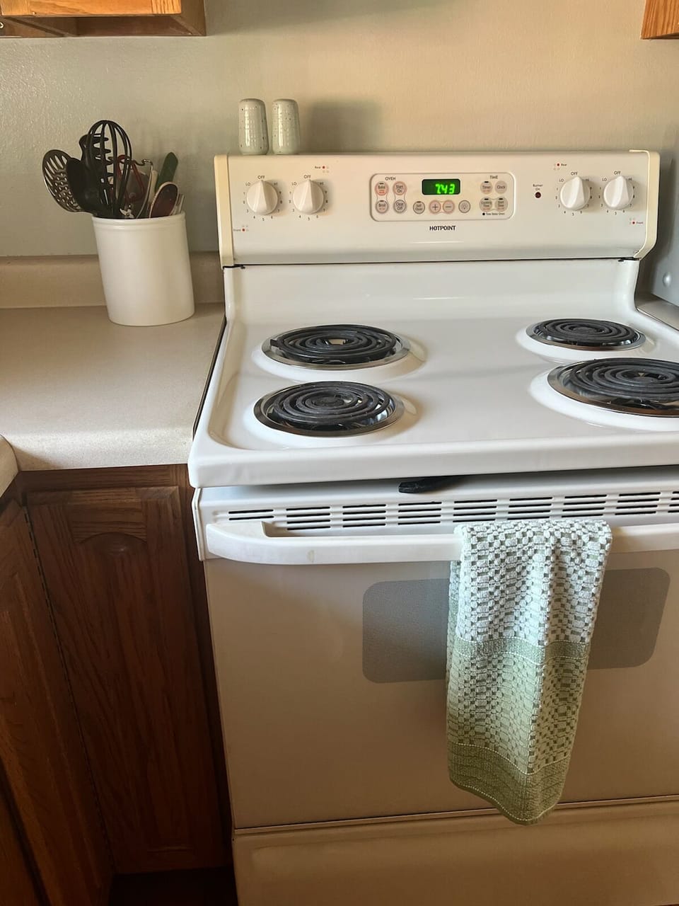 Stove/oven. Lazy Susan to the left has spices, oil for cooking.