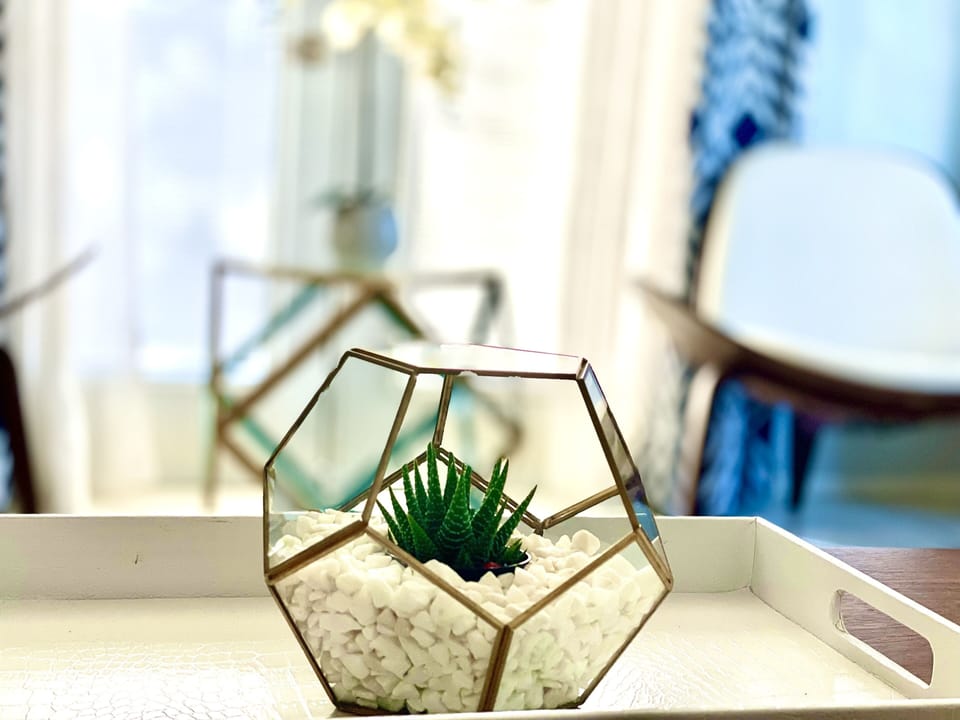 Mid-Century Details Throughout the Home