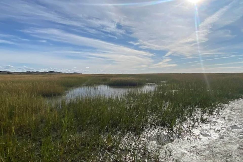 Water view