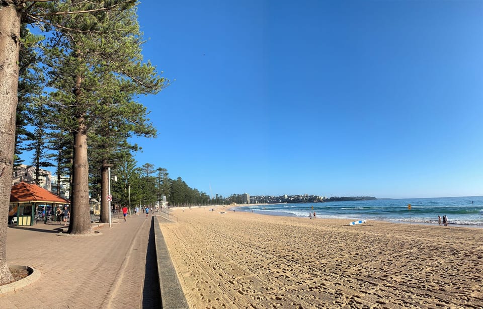 Wide sandy beach with ocean views and a scenic tree-lined promenade