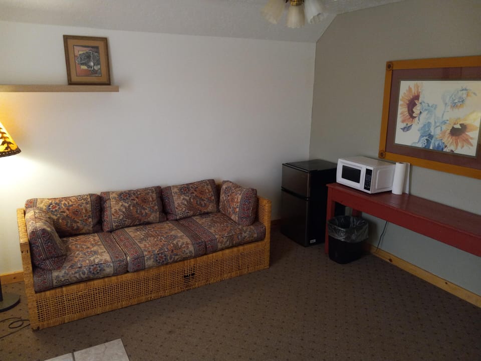 Front room with micro and mini-fridge 4