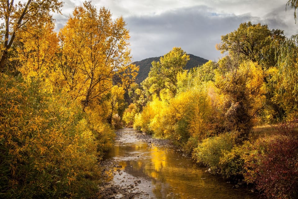 Your walk across the bridge over Main Elk Creek.