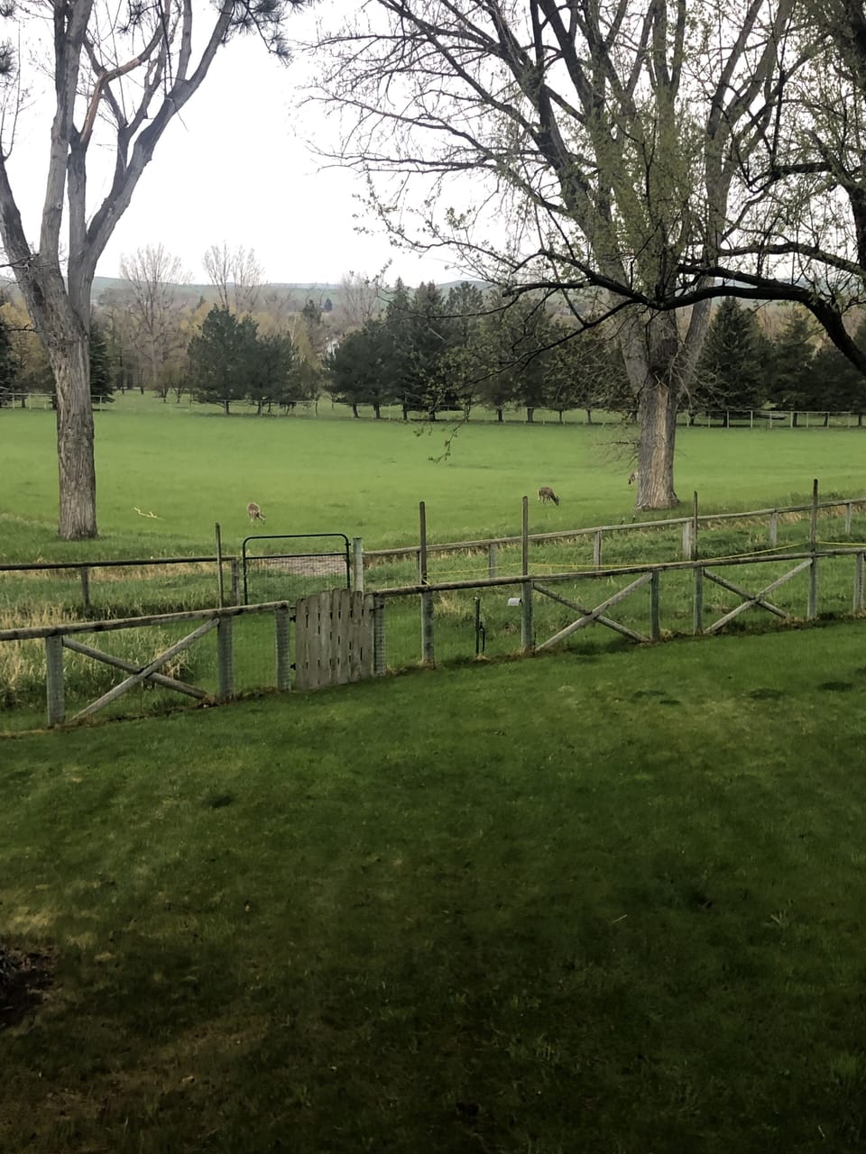 Property grounds