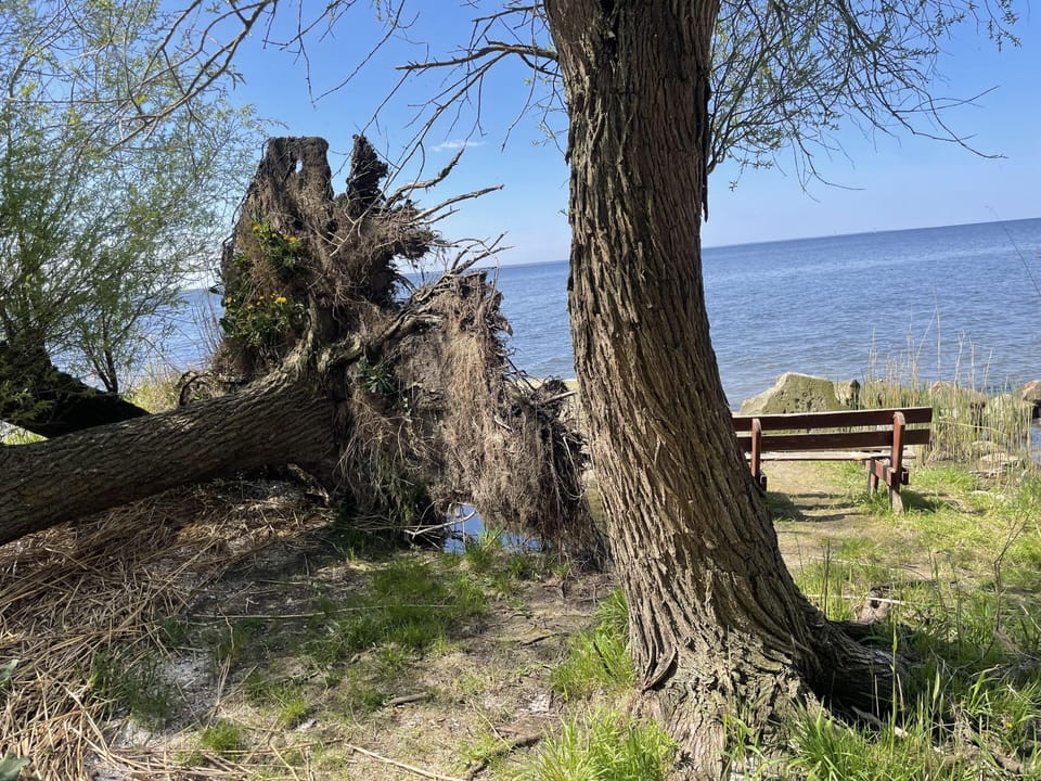 Image 15