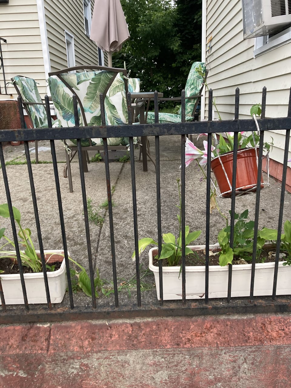 Patio