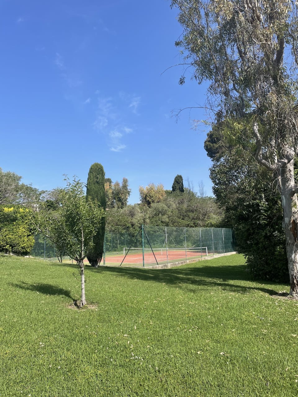 Sport court