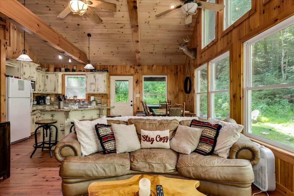View to Bailey Creek waterfall from the main cabin living room.