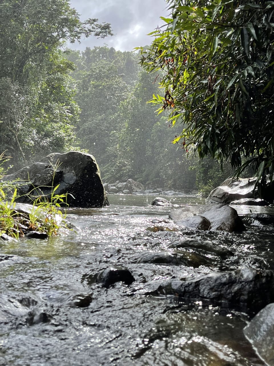 El Yunque 