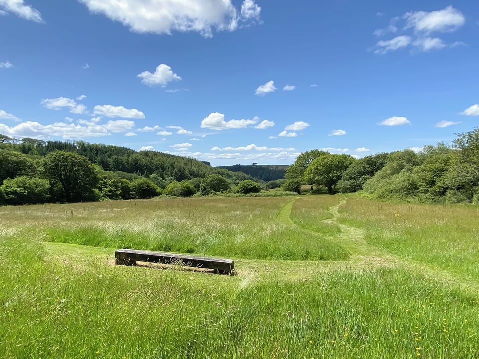 Surrounding area | Granary Barn - Coastal Wood Holidays, Marros, near Amroth