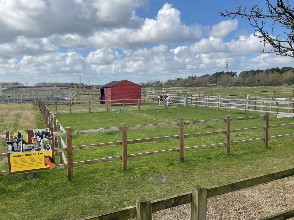 Garden and grounds | Pine View, Fritton, near Great Yarmouth