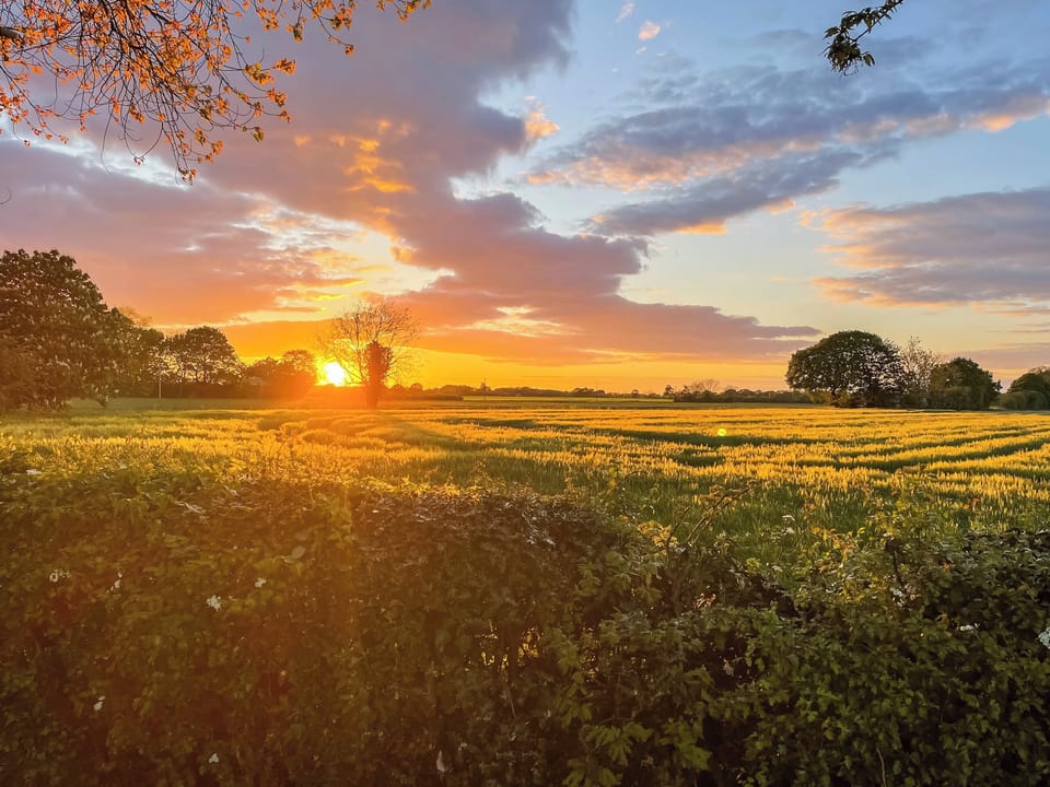 Looking across the field from the driveway | Tudor House - Grange Farm Cottages, Portington