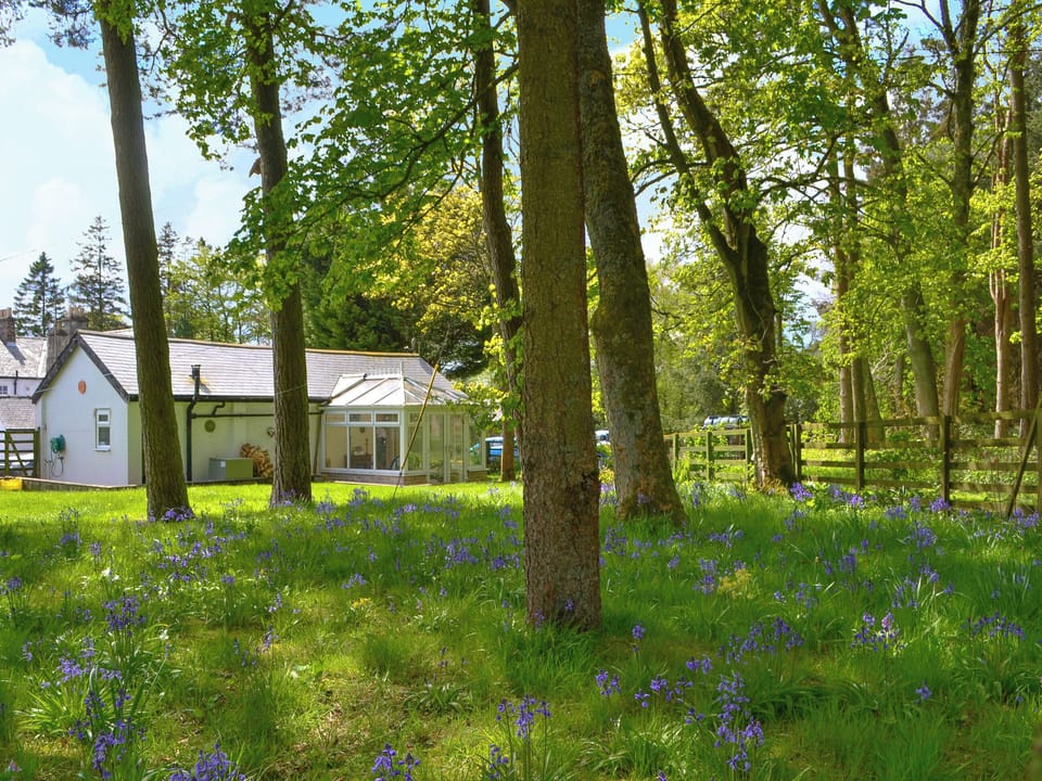 Lawned garden at rear | Glendale Mews - Glendale, Haltwhistle