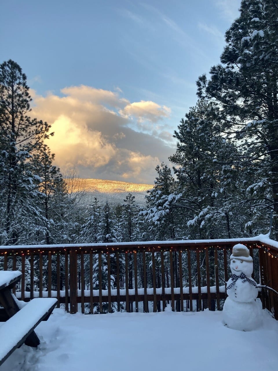Windows across the back make winter views warmer
