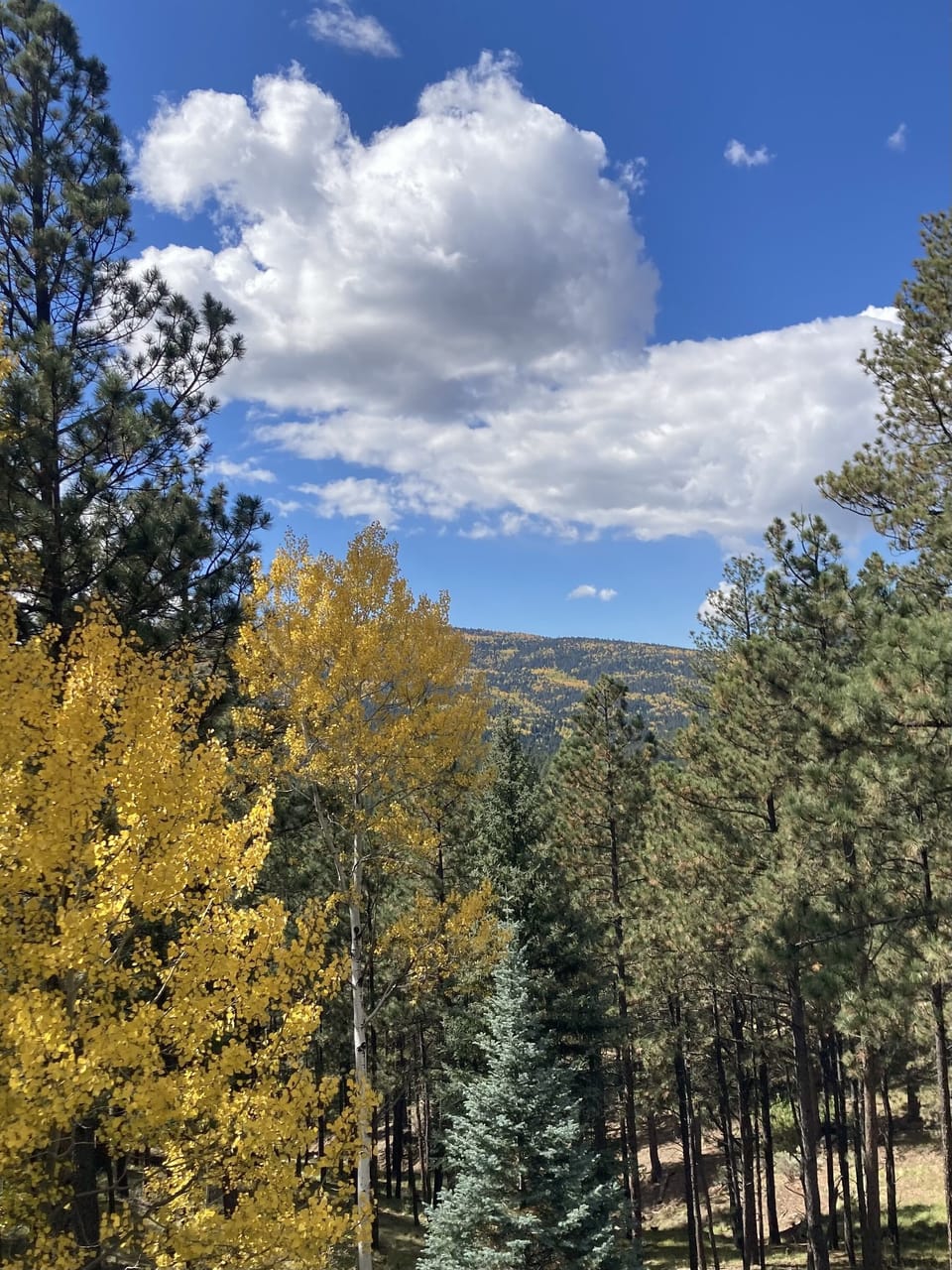 Fall colors are beautiful off the deck