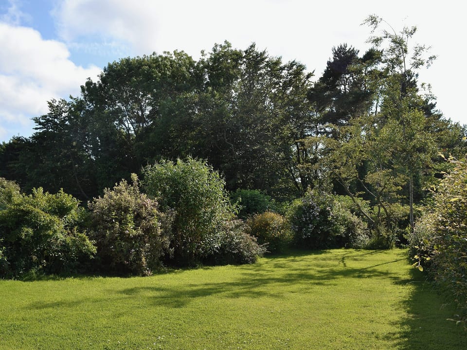 Garden | Allium, Tynely near Beadnell