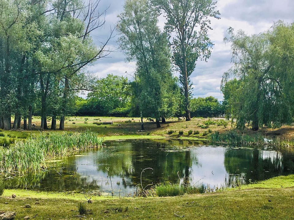 Surrounding area | Larch Lodge - Broad View Farm, Blacknest, near Alton