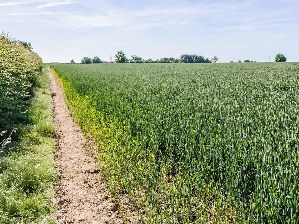Countryside walks | The Bull Pen, Lawford