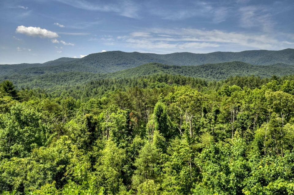 Mountain view from the cabin
